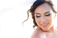 Veiled Bride in San Francisco Bay Area